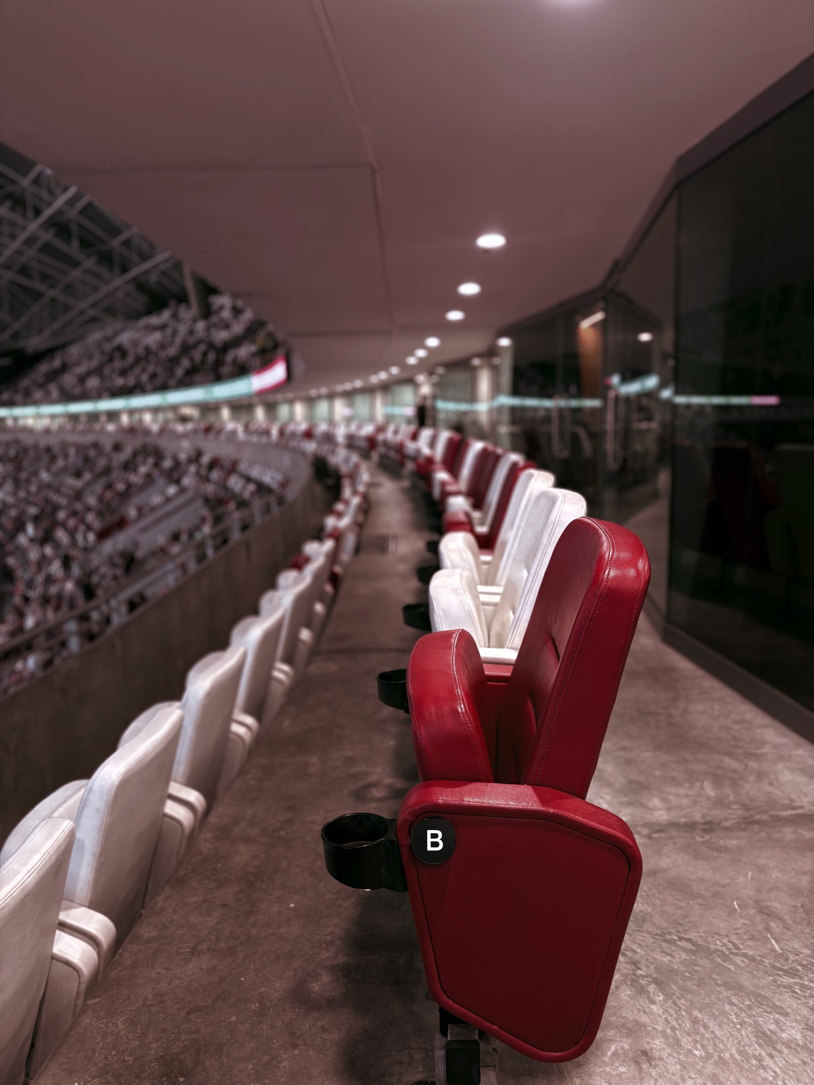Premium padded stadium seating in front of the suite